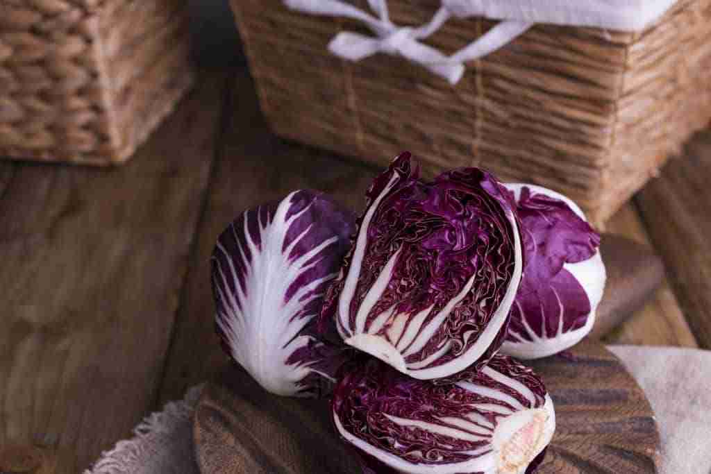 radicchio rosso cucina