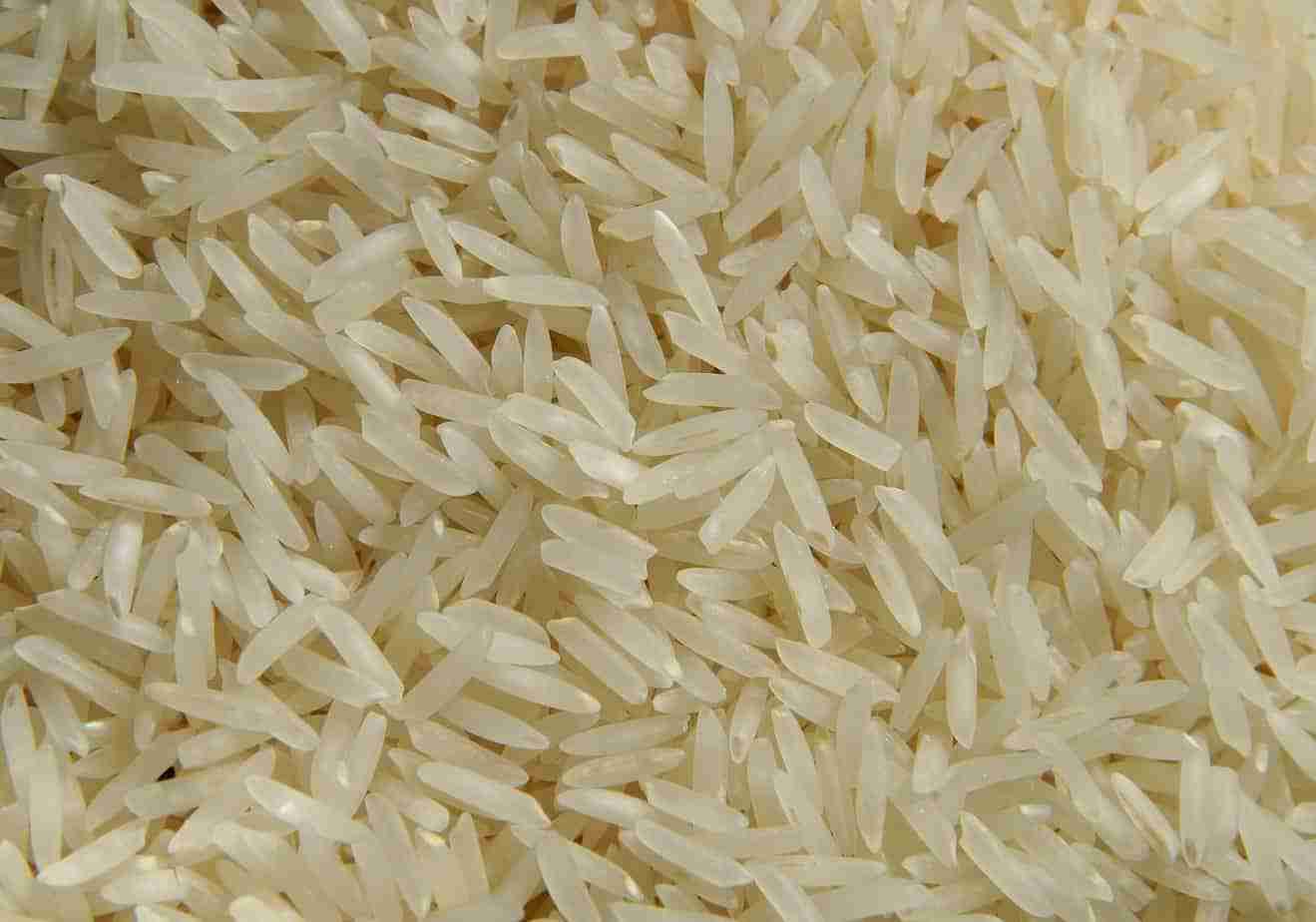 il riso in dettaglio
