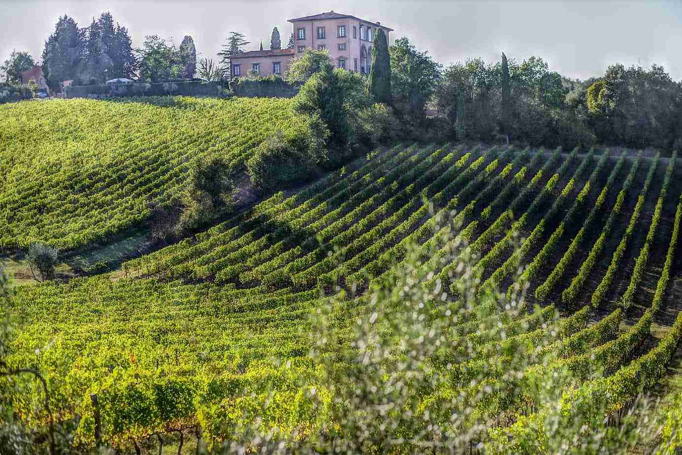 vino chianti produzione