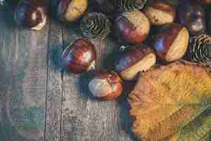 ricette con castagne cinque gusti