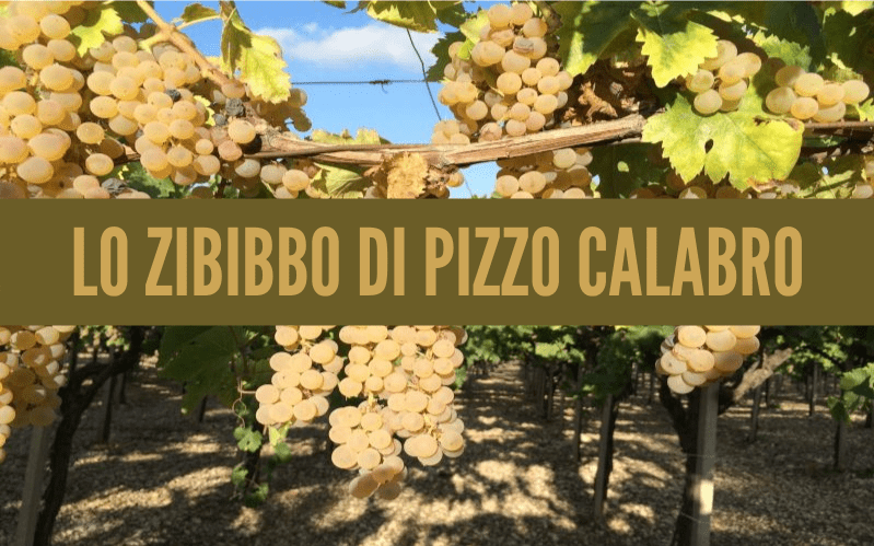 zibibbo di pizzo calabro cinque gusti