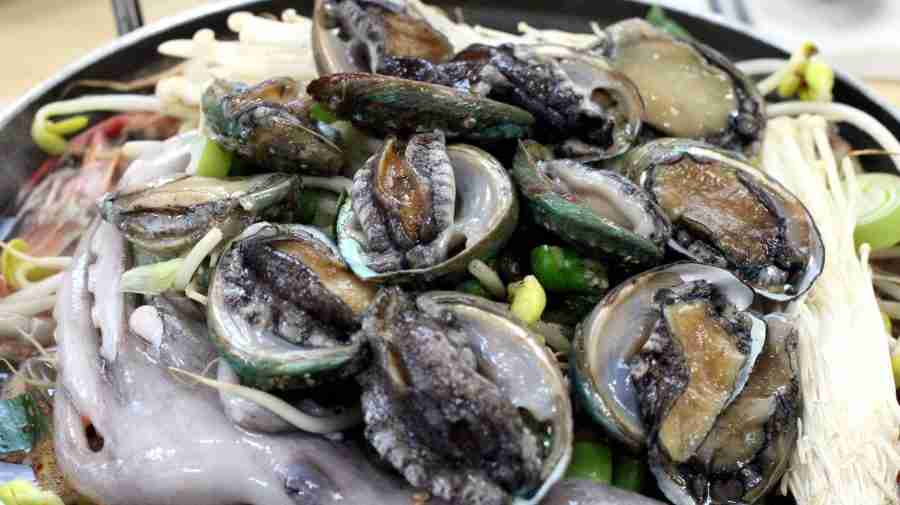 frutti di mare crudi insalata ricette