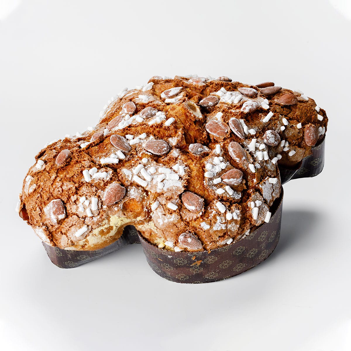 miglior colomba artigianale classica e contemporanea campionato italiano fipgc