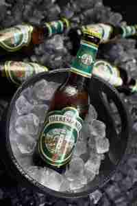 Theresianer birra
