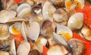 frutti di mare in umido ricetta