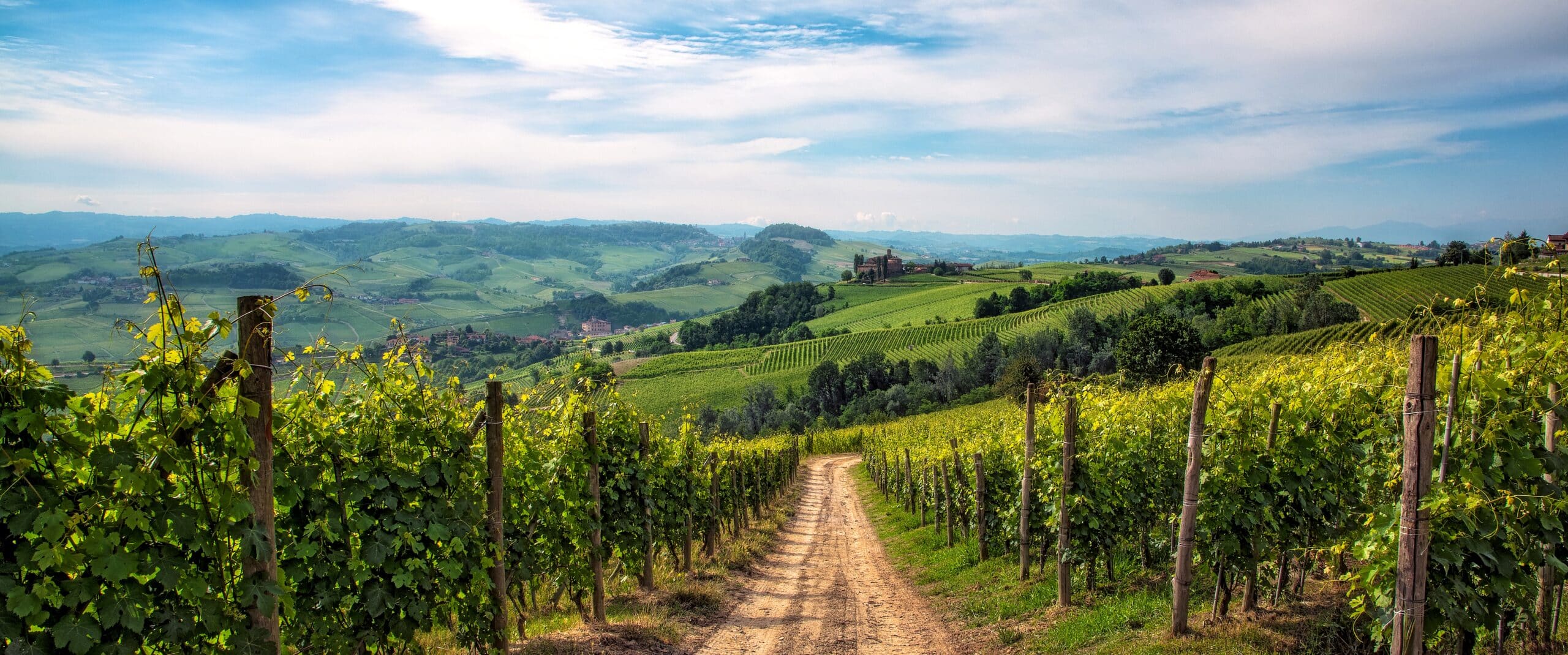 Panorama Barolo