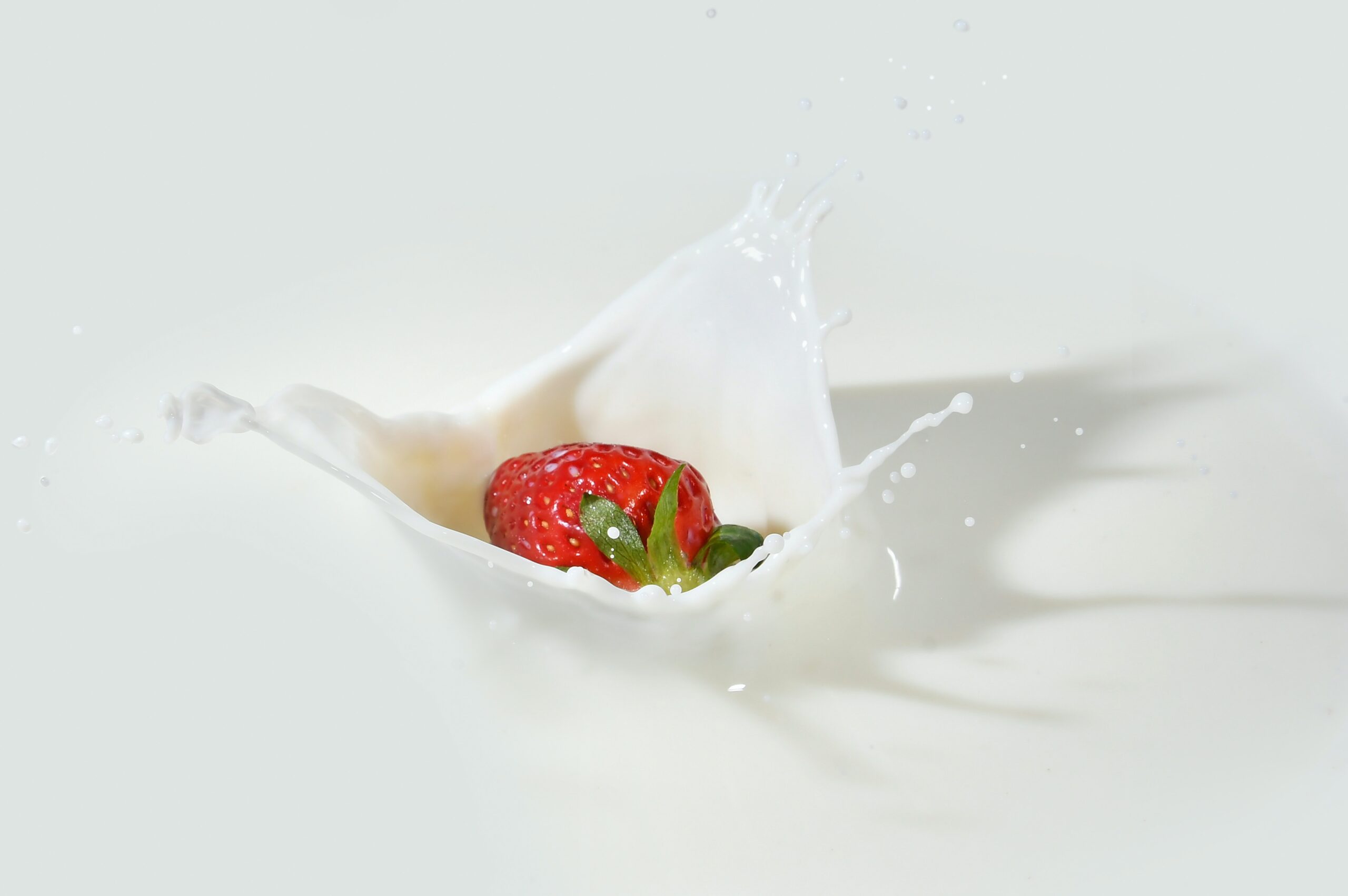 alternative vegetali al latte cinque gusti food magazine