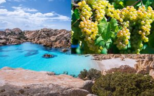 arcipelago la maddalena cala coticcio+uve vermentino sardo