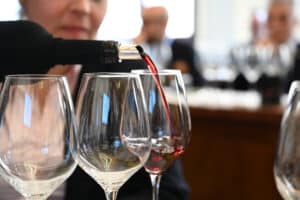 Calici Masterclass MEDoc