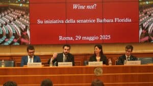 Wine not Ognibene Borghetti Floridia Micali