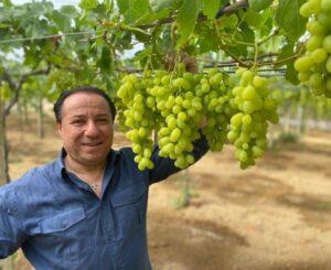 Giovani Raniolo pres Consorzio Uva Mazzarrone IGP