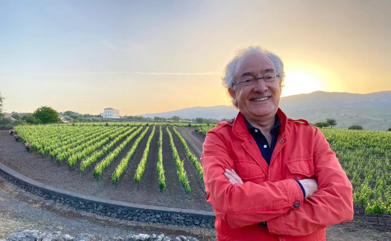 Pucci Giuffrida e i vigneti