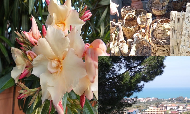 Fiori di Terme V cestini di vimini scorcio panorama