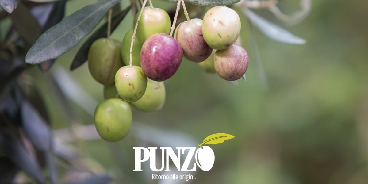 antico oleificio punzo